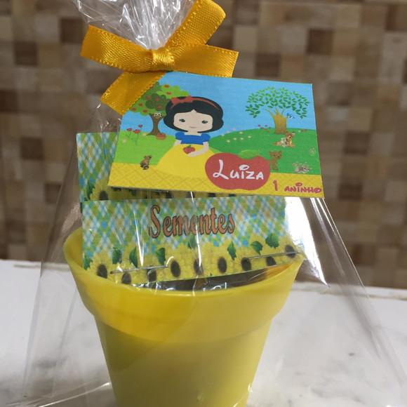 Mini Kit Jardim Branca De Neve Cute
