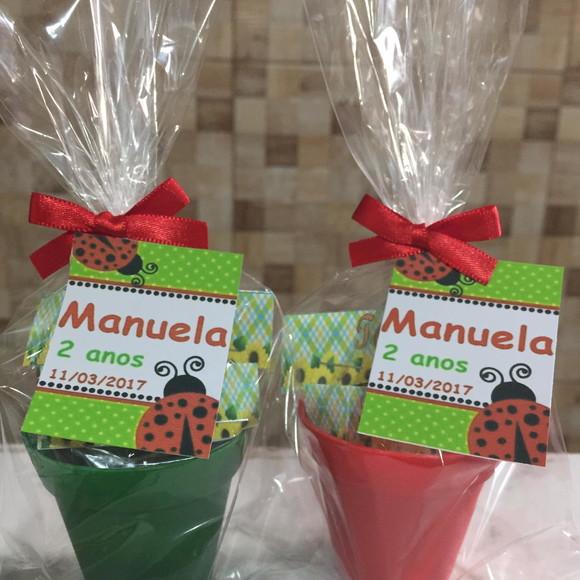 Mini Kit Jardim Joaninha