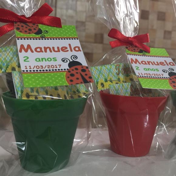 Mini Kit Jardim Joaninha
