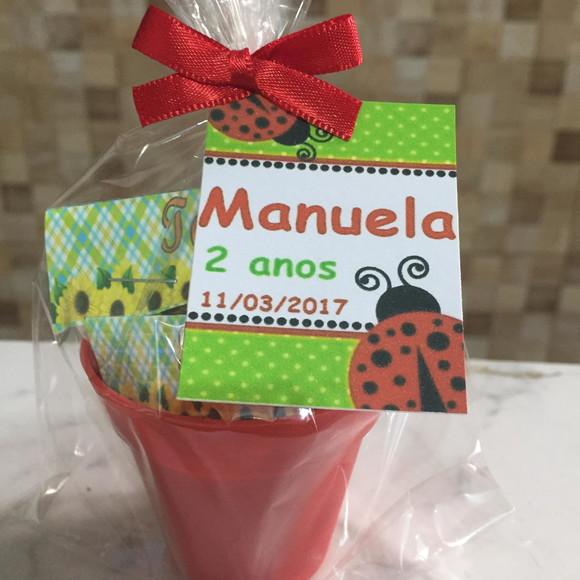 Mini Kit Jardim Joaninha