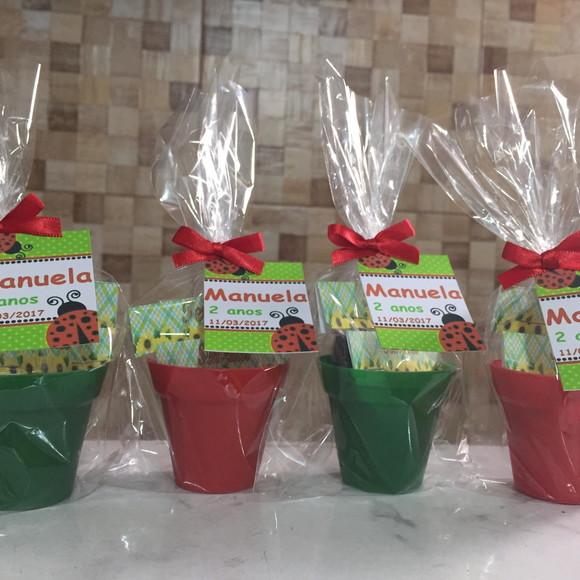 Mini Kit Jardim Joaninha
