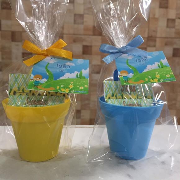 Mini Kit Jardim João E O Pé De Feijão