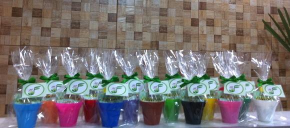 Mini Kit Jardinagem - Empresas Buffet