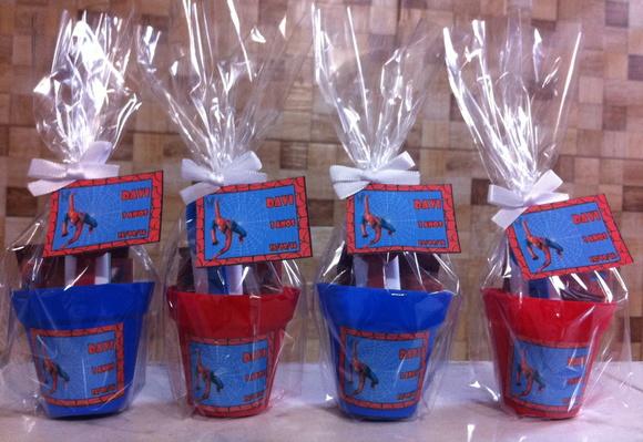Mini Kit Jardinagem - Homem Aranha