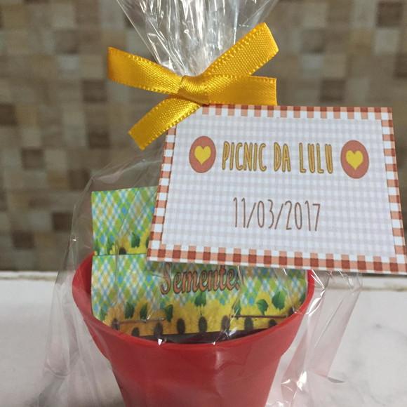 Mini Kit Jardinagem - Picnic
