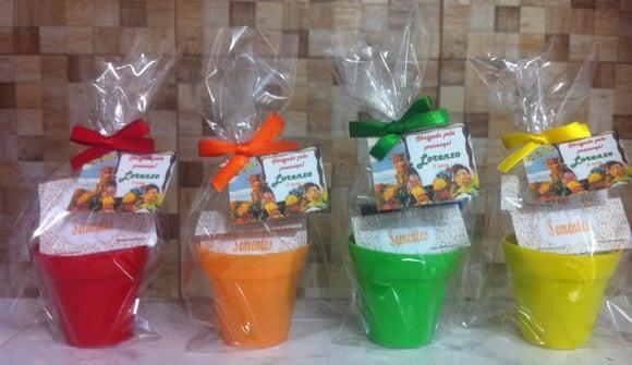 Mini Kit Jardinagem - Vários Temas