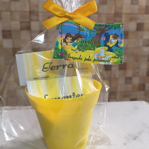 Mini Kit Plantação A Bela E A Fera