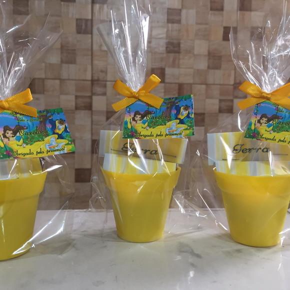 Mini Kit Plantação A Bela E A Fera