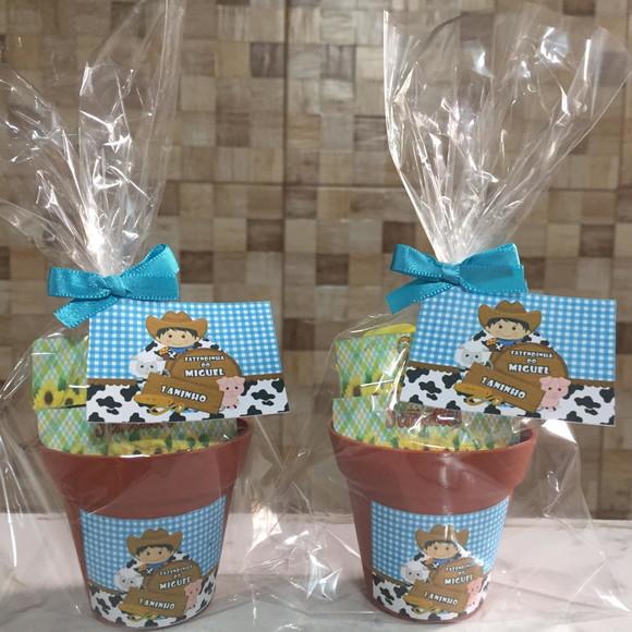 Mini Kit Plantação Fazendinha