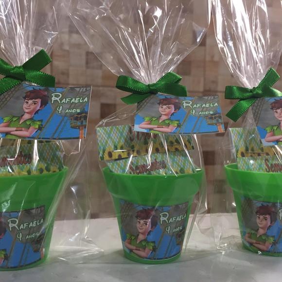 Mini Kit Plantação Peter Pan