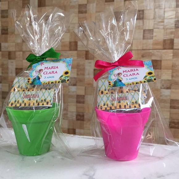 Mini Kit Plantio Ecologico - Frozen