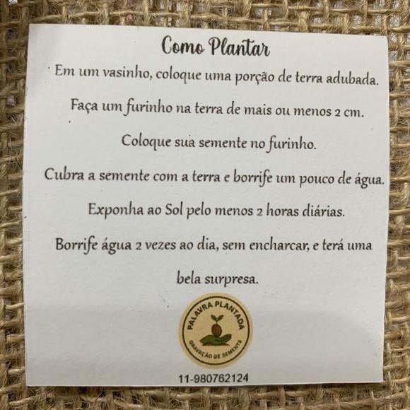 Semente Gravada com Cartão Personalizado