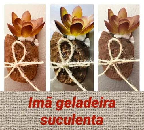 Exclusividade suculenta na casca de árvore imã