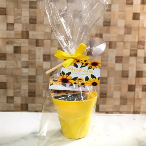 Kit Cultivo girassol