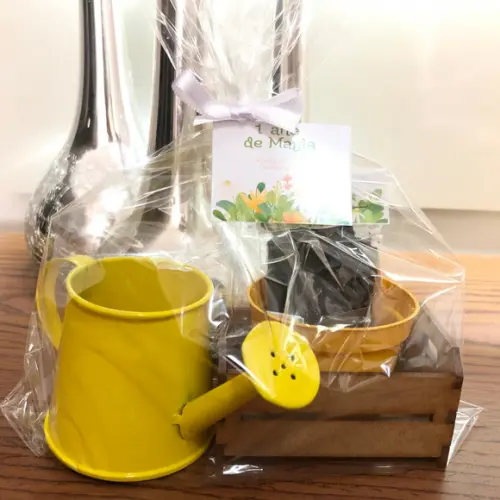 Kit Cultivo Floral