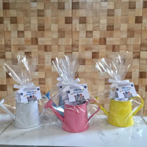 Kit Ecológico com Regador