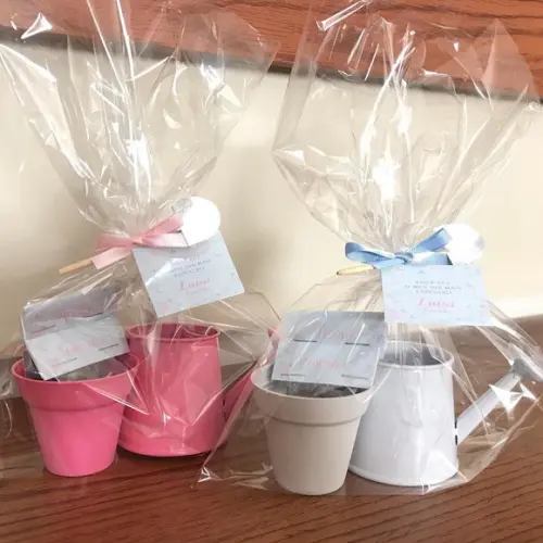Presente lembrancinha Kit Jardinagem personalizado