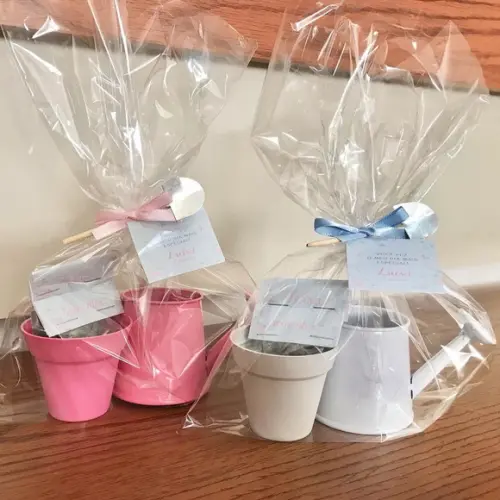 Presente lembrancinha Kit Jardinagem personalizado