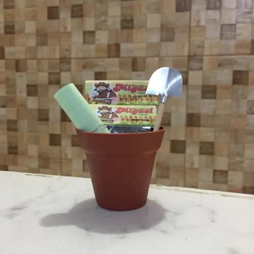 Presente Kit Jardinagem - Todos Os Temas