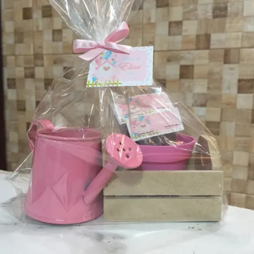 Kit Jardinagem Caixote Com Regador