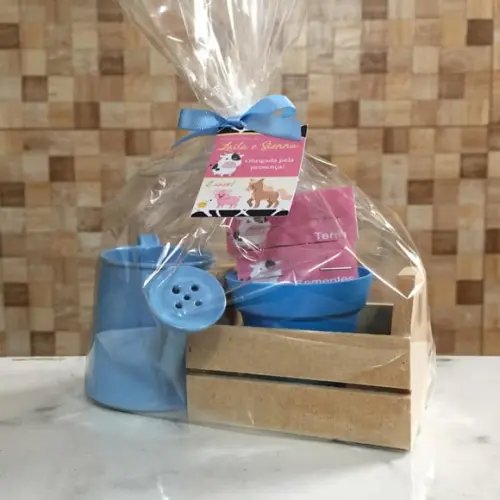 Kit Jardinagem Caixote Com Regador