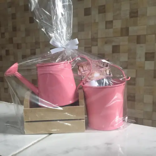 Kit Jardinagem Caixote Com Regador