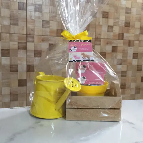Kit Jardinagem Caixote Com Regador