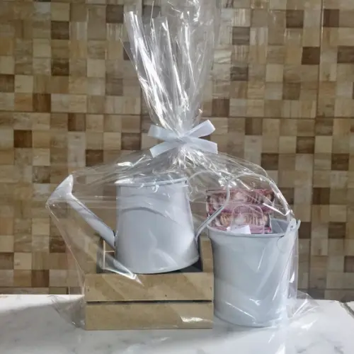 Kit Jardinagem Caixote Com Regador