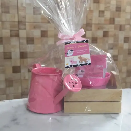 Kit Jardinagem Caixote Com Regador