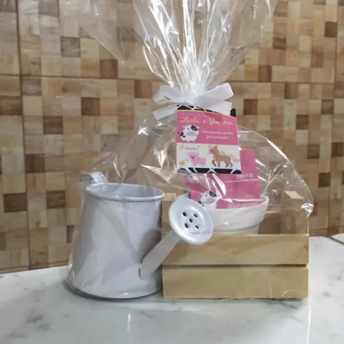 Kit Jardinagem Caixote Com Regador
