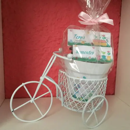 Kit Jardinagem com Bicicleta