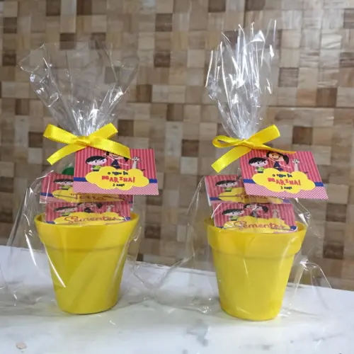 Kit Plantação Com Regador