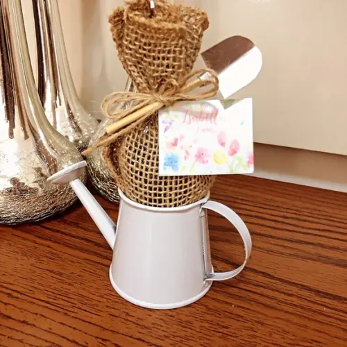 Kit Plantação Jardinagem Regador