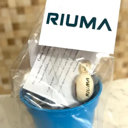 Kit Plantio Semente Mágica