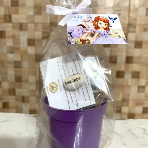 Kit Plantio Semente Mágica