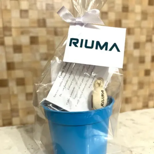 Kit Plantio Semente Mágica
