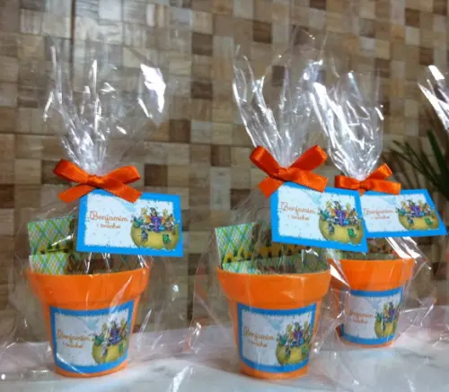 Lembrancinha Jardinagem Arca De Noé