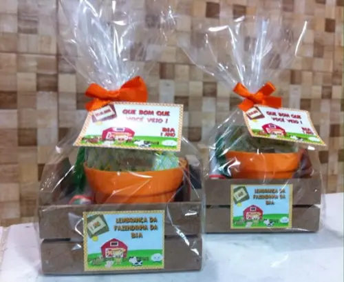 Lembrancinha Jardinagem Plantio Fazendinha