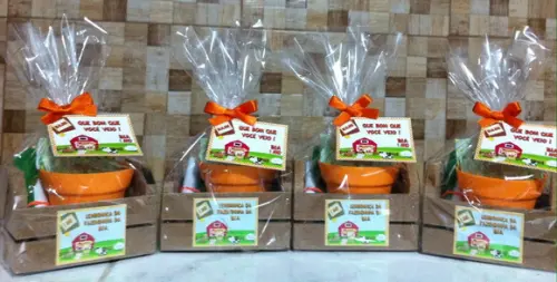Lembrancinha Jardinagem Plantio Fazendinha