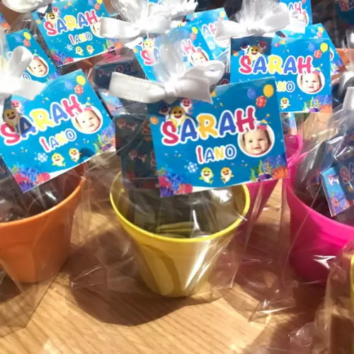 Lembrancinha Joaninha