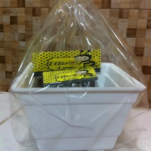 Lembrancinha Kit Jardinagem Abelhinha