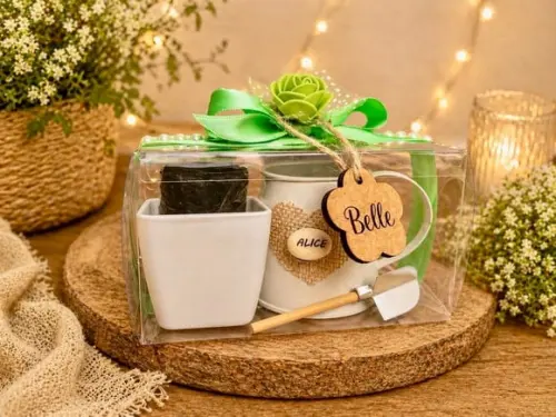 Lembrancinha Kit Plantação Luxo