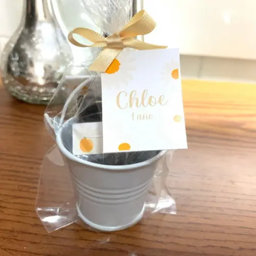 Lembrancinha Kit Plantação Flores