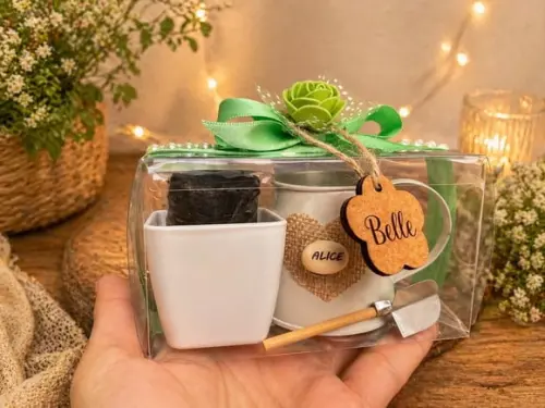 Lembrancinha Kit Plantação Luxo