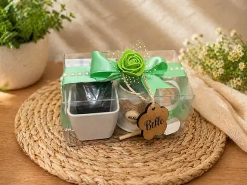 Lembrancinha Kit Plantação Luxo