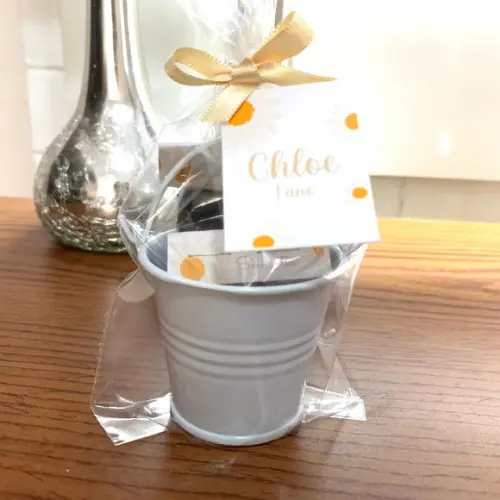 Lembrancinha Kit Plantação Flores