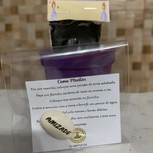 Lembrancinha Semente Mágica