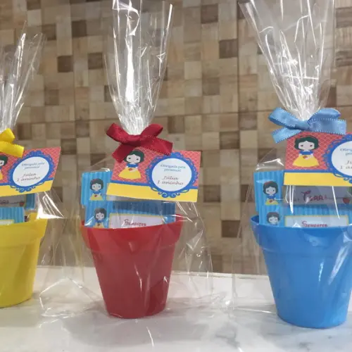 Kit Ecologico Branca De Neve Cute