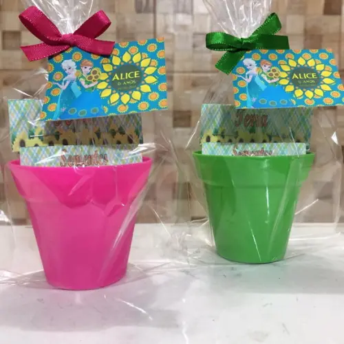 Mini Kit Ecologico Frozen Fever