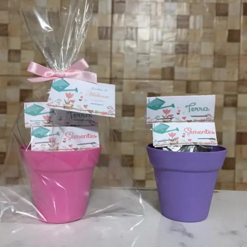 Mini Kit Ecológico Jardim